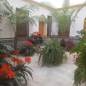 Apartment Casa Tipica Cordobesa, Cordoba